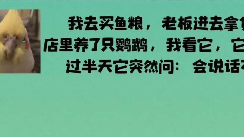 火锅底料批发价格揭秘：如何规避误区，找到性价比之选**